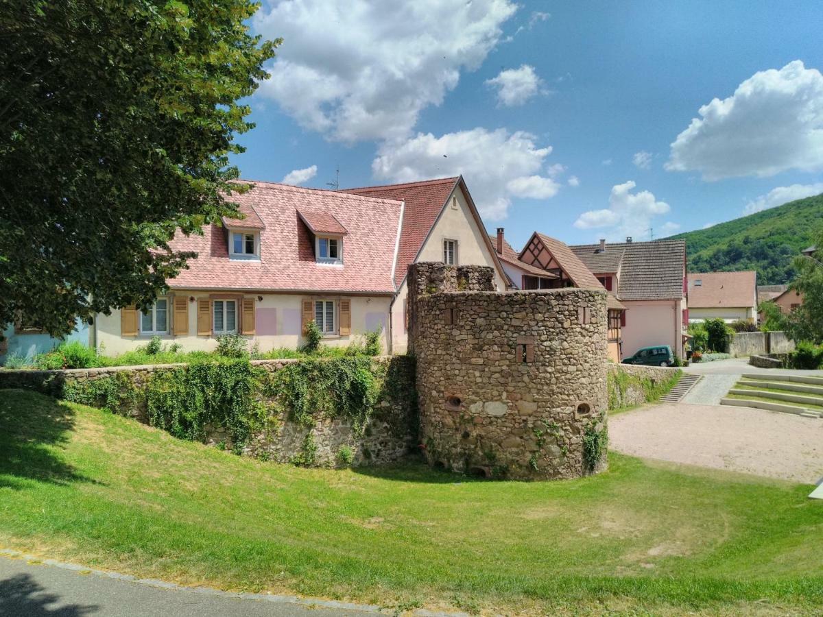 La Grande Terrine - Gites Les Potiers Kaysersberg-Vignoble Exteriör bild