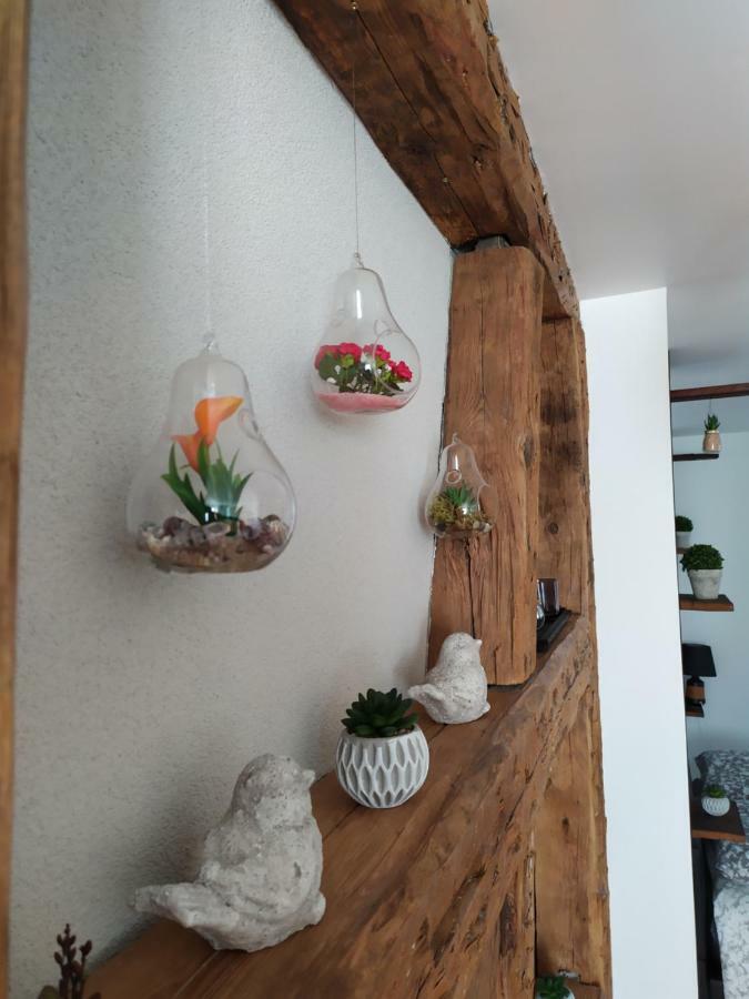 La Grande Terrine - Gites Les Potiers Kaysersberg-Vignoble Exteriör bild