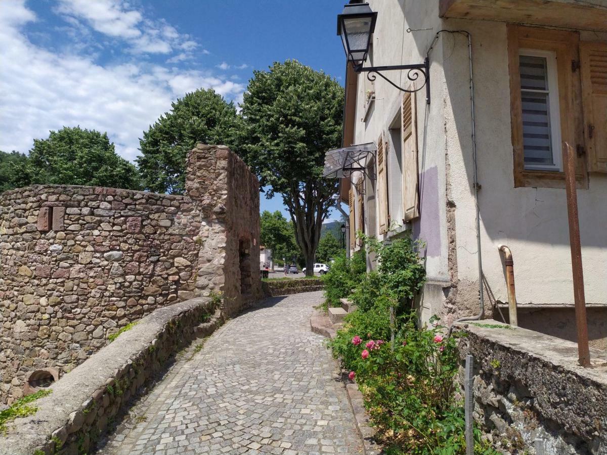 La Grande Terrine - Gites Les Potiers Kaysersberg-Vignoble Exteriör bild