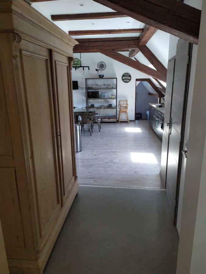 La Grande Terrine - Gites Les Potiers Kaysersberg-Vignoble Exteriör bild