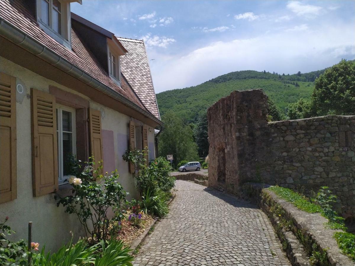 La Grande Terrine - Gites Les Potiers Kaysersberg-Vignoble Exteriör bild