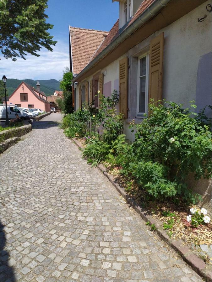 La Grande Terrine - Gites Les Potiers Kaysersberg-Vignoble Exteriör bild